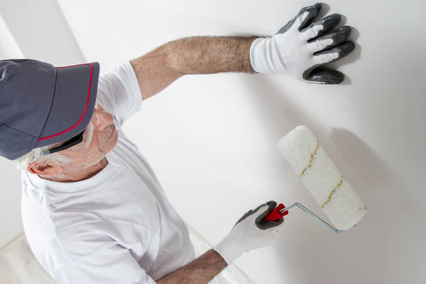 Best Water-Damaged Drywall Repair  in Elmont, NY