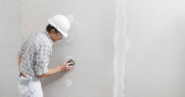 Best Wallpaper Removal and Painting  in Elmont, NY